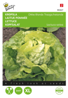 Buzzy seeds Kropsla zaden   Dikke Blonde   traagschietend