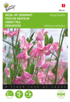 Buzzy® Reuk  of Siererwt zaden   Royal Family   roze