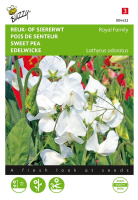Buzzy seeds Reuk  of Siererwt zaden   Royal Family   wit