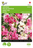 Buzzy® Meerjarige Lathyrus zaden   gemengd