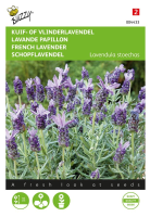 Buzzy® Kuif  of Vlinderlavendel zaden