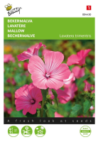 Buzzy   Bekermalva zaden   Roze/Rood