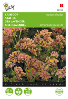 Buzzy seeds   bloemzaden   Limonium, Lamsoor Apricot shades
