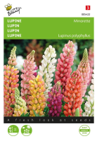 Buzzy® Lupine lage zaden   Minarette