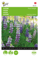 Buzzy seeds Lupine zaden   Pixie Delight   gemengd