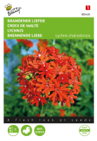Buzzy® Brandende Liefde zaden