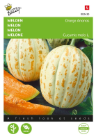 Buzzy seeds Meloen zaden   Oranje Ananas