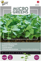 Buzzy seeds Citroenbasilicum zaden   microgreen