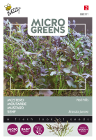 Buzzy seeds Microgreens   Mosterd zaden   Red Frills