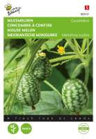 Buzzy seeds Muis Meloen zaden   Cucamelon
