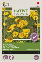 Buzzy seeds   bloemzaden   Gele Kamille Anthemis Tinctoria