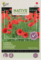 Buzzy seeds   bloemzaden   Native Flowers inheemse klaproos 'Papaver rhoeas'