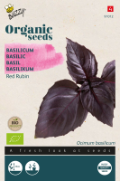 Buzzy seeds Basilicum zaden   Red Rubin   Bio