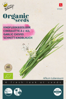 Buzzy seeds Knofloobieslook zaden   Bio