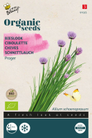 Buzzy seeds Bieslook zaden   Prager   Bio