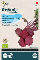 Buzzy seeds Bio Bieten zaden   Egyptische