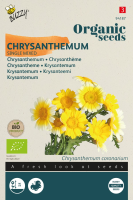 Buzzy   bloemzaden   Enkelbloemige Chrysanthemum Mix