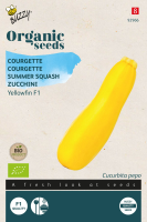 Buzzy seeds Organic 'Yellowfin F1'   Biologische gele courgettezaden