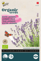 Buzzy seeds   Bio Lavendel zaden