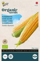 Buzzy seeds Bio Maïs zaden   Golden Bantam