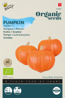 Buzzy seeds Organic Cucurbita Maxima (Pompoen) Amoro F1   biologische pompoenzaden