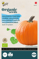 Buzzy seeds Bio Pompoen zaden   Jack O'Lantern