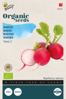Buzzy seeds Bio Radijs zaden   Saxa