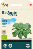 Buzzy seeds Organic Spinazie Viroflex   biologische spinaziezaden