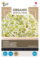 Buzzy® Bio Knip & Eet zaden   Alfalfa Spruitgroente