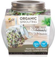 Buzzy Grow   spruitgroente Pikante salade   glazen pot