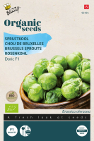 Buzzy seeds Organic 'Doric F1'   Biologische Spruitkoolzaden
