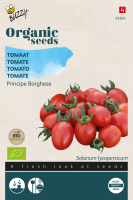Buzzy seeds Organic 'Principe Borghese'   Biologische Tomatenzaden