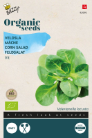 Buzzy seeds Bio Veldsla zaden   Grote Noordhollandse