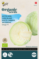 Buzzy seeds Organic 'Drago F1'   Biologische Witte Koolzaden