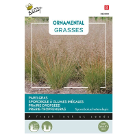 Buzzy seeds   bloemzaden   Ornamental Grasses 'Sporobolus heterolepis'