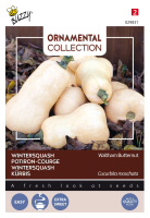 Buzzy seeds Pompoen zaden   Waltham Butternut