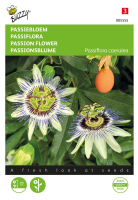 Buzzy® Passiebloem zaden