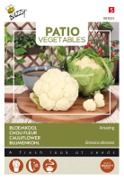 Buzzy seeds Terrasgroenten   Bloemkool zaden   Amazing