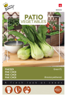 Buzzy® Terrasgroenten   Paksoi zaden   Green
