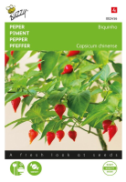 Buzzy seeds Peper zaden   Biquinho Amarela