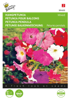Buzzy® Hangpetunia zaden   Pendula   gemengd