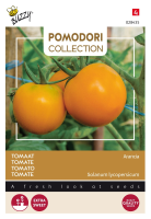 Buzzy® Tomaat zaden   Arancia