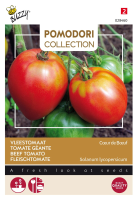 Buzzy seeds Tomaat zaden   Coeur de boeuf vleestomaat
