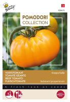 Buzzy seeds Tomaat zaden   Grappa Gialla