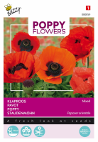Buzzy seeds Poppies of the World   Papaver zaden   Orientaalse klaproos