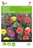 Buzzy® Portulaca zaden   Dubbelbloemig   gemengd