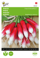 Buzzy seeds Radijs zaden   French breakfast