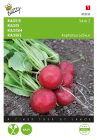 Buzzy seeds Radijs zaden   Saxa