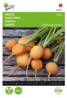 Buzzy® Radijs zaden   Zlata   geel