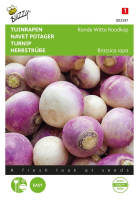Buzzy seeds Rapen zaden   Ronde Witte Roodkop   de Nancy